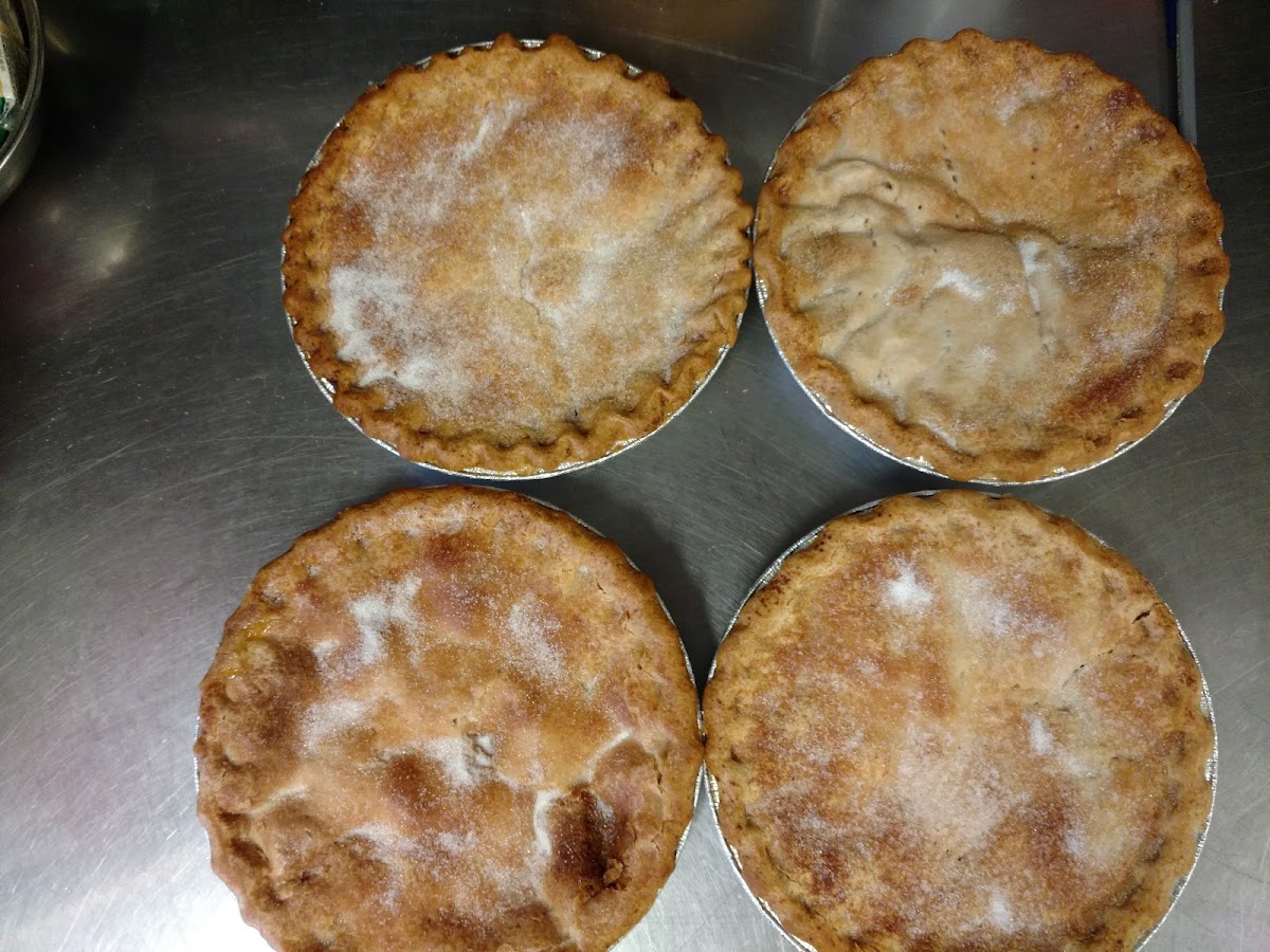 Wagon Wheel Express-8